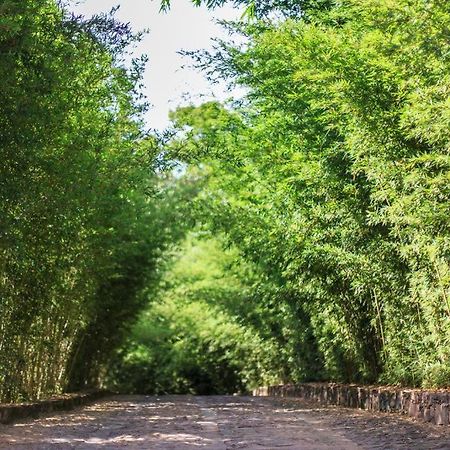 Pousada Bosque Do Lapao Ленсойс Экстерьер фото